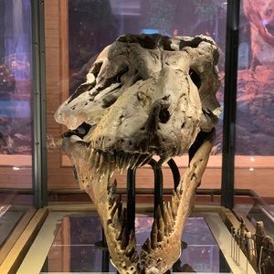 Meet your Posher, Joshua